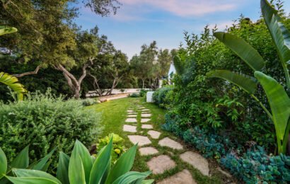 Scenic pathway leading to a vibrant green garden under clear blue skies