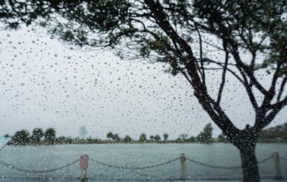Raindrops on the window on a rainy day; tree on the shoreline of a lake in the background; California