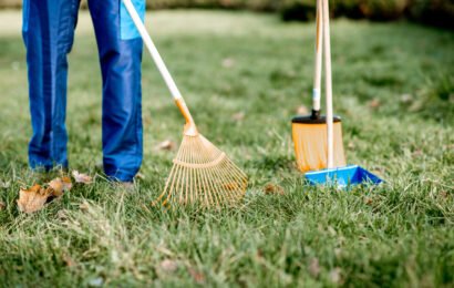 Man sweeping leaves with orange rake on the green lawn, close-up view with no face